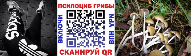 цена   Большой Камень  кракен   Галлюциногенные грибы MAGIC MUSHROOMS 